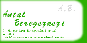 antal beregszaszi business card